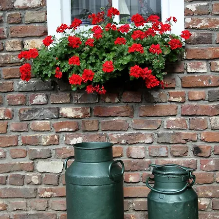 Apartment Apartements Stegelshof Eygelshoven