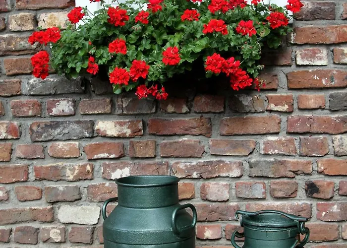 شقة Apartements Stegelshof Eygelshoven